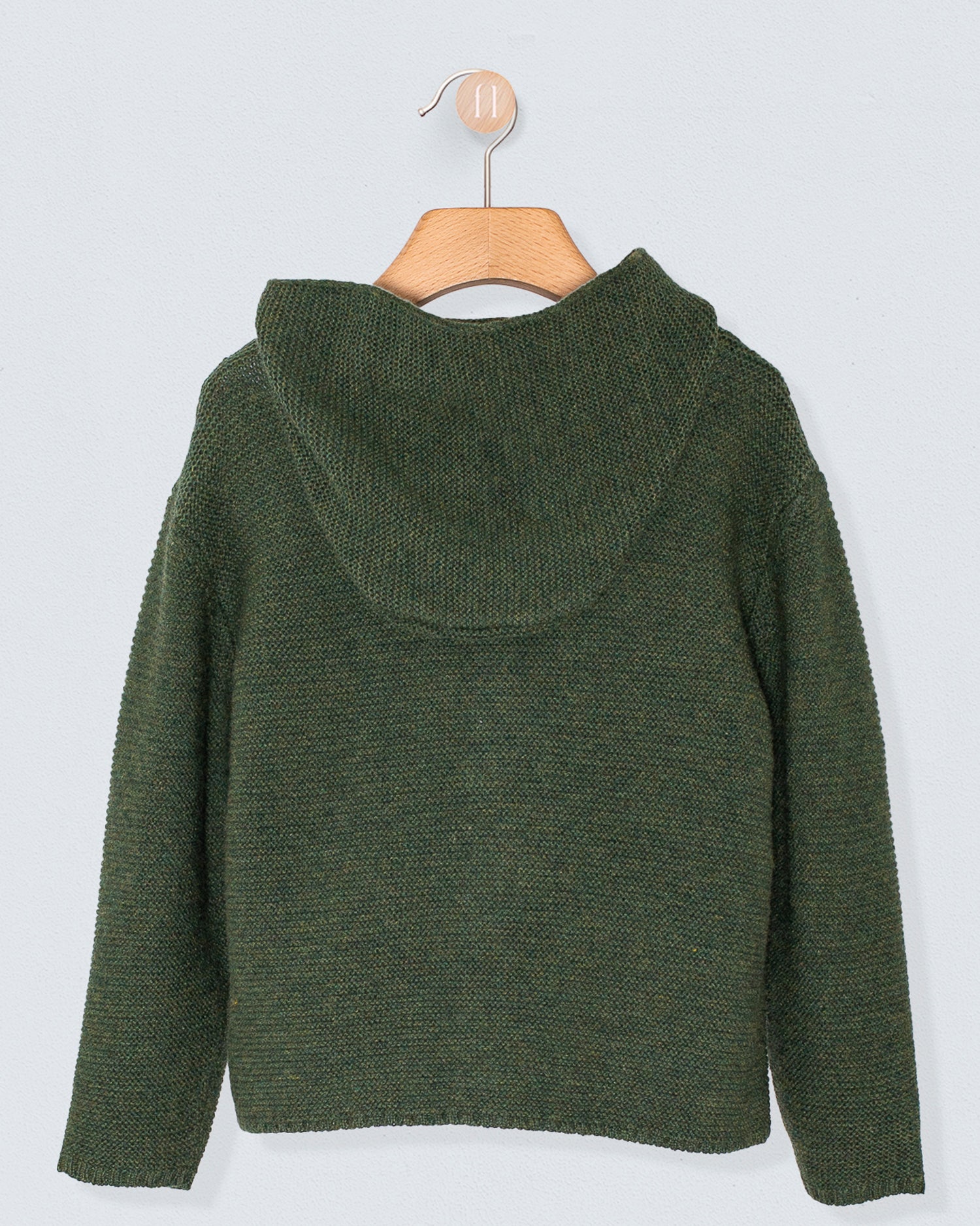 Benjamin Dinosaur Hunter Hooded Sweater